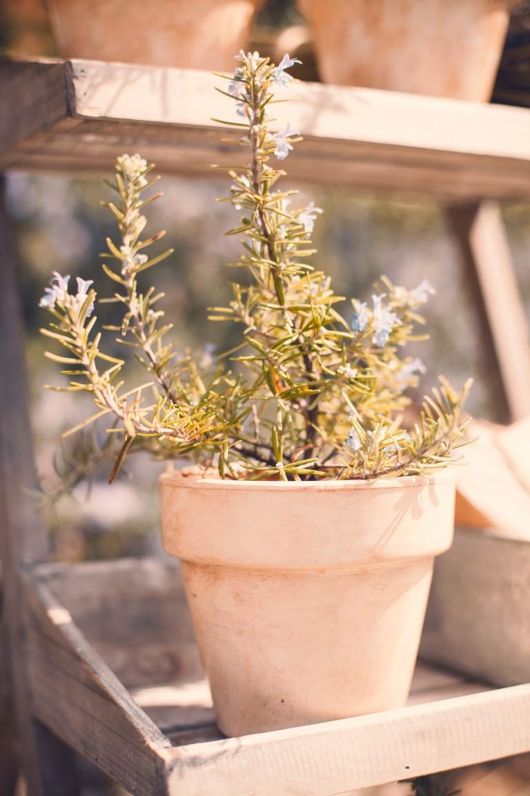 Deco Moments by Fonteyne and Co.029 (Medium)