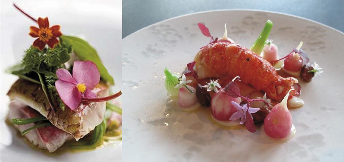 corbuse.com, tummyrumble.net