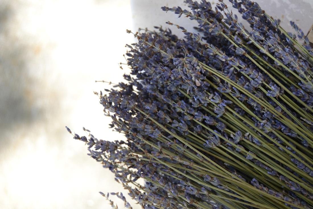 lavanda en al Provenza