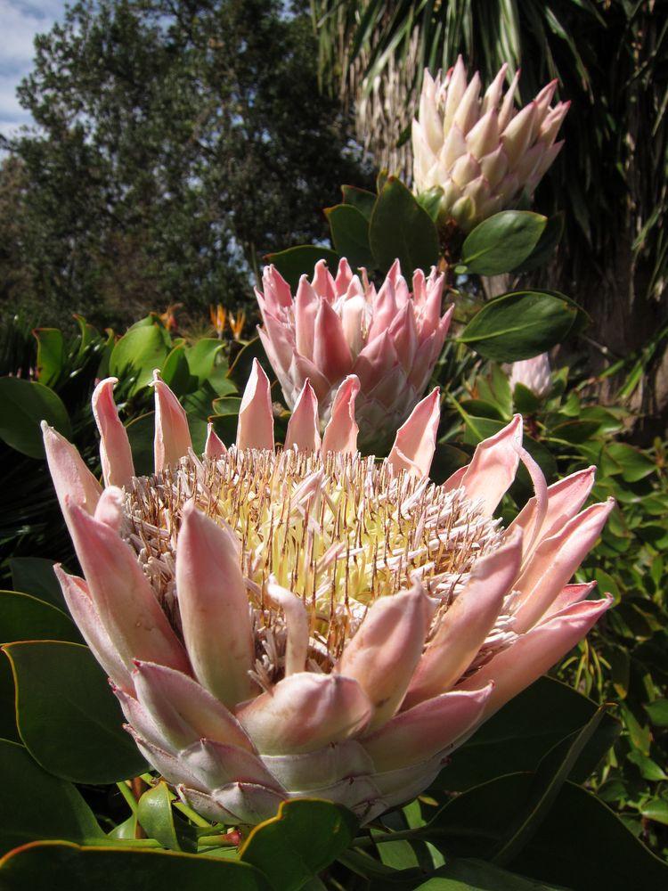 islas-canarias-dia6-