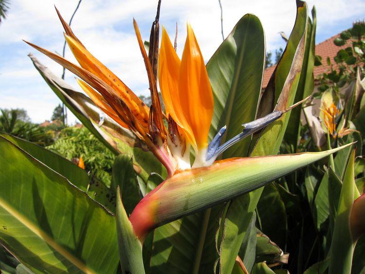 islas-canarias-dia6-