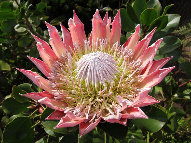 islas-canarias-dia6-