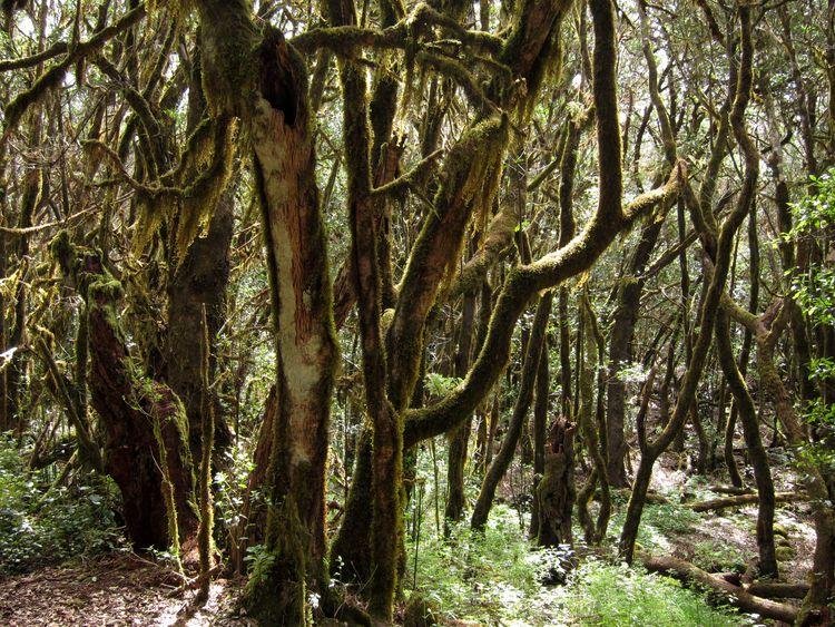 islas-canarias-dia6-