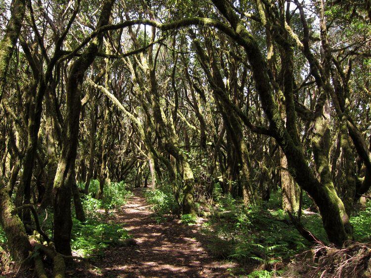 islas-canarias-dia6-