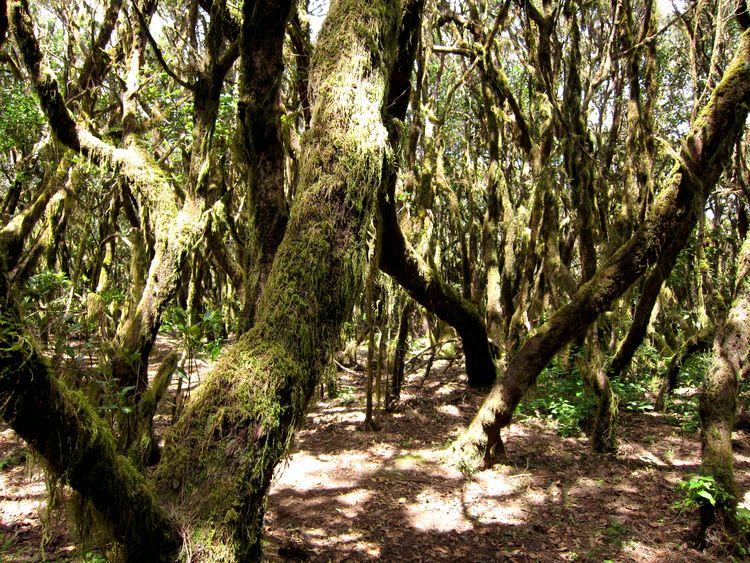 islas-canarias-dia6-