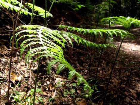 islas-canarias-dia6-