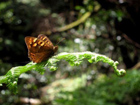 islas-canarias-dia6-