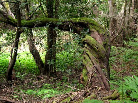 islas-canarias-dia6-