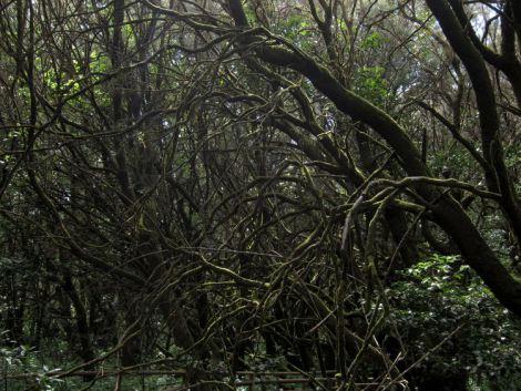 islas-canarias-dia6-