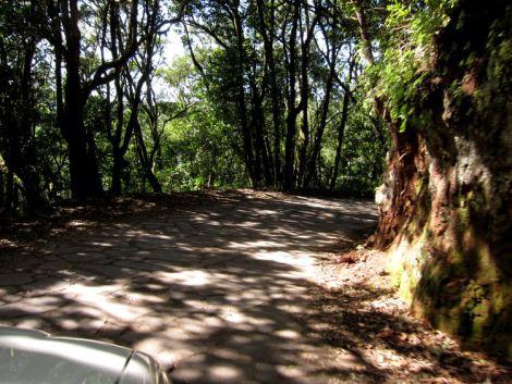 islas-canarias-dia6-