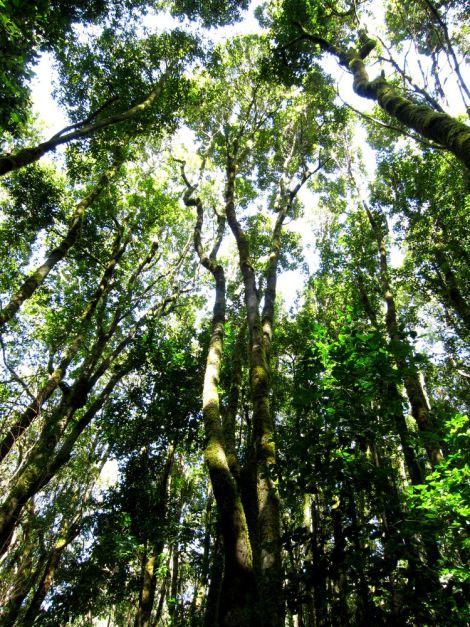 islas-canarias-dia6-