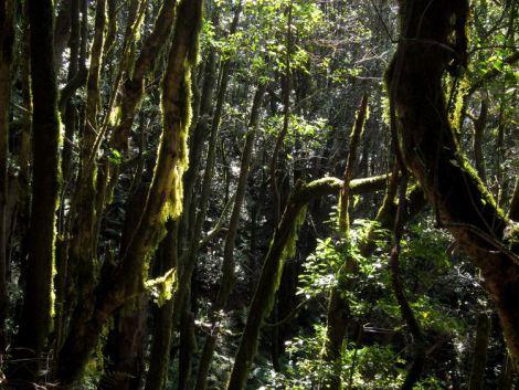 islas-canarias-dia6-