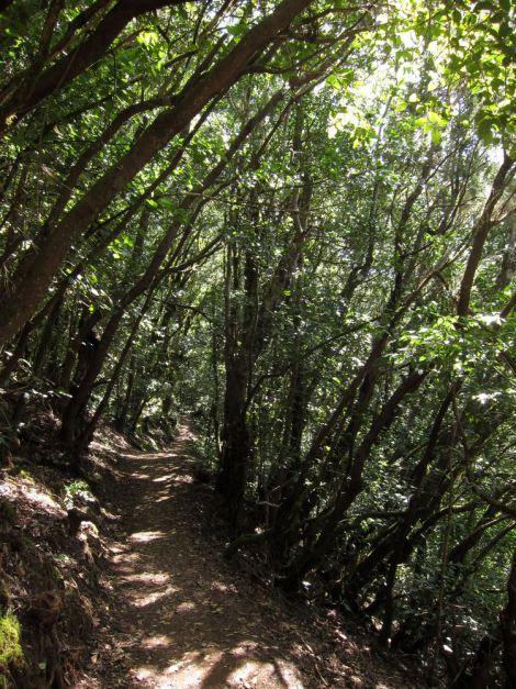 islas-canarias-dia6-