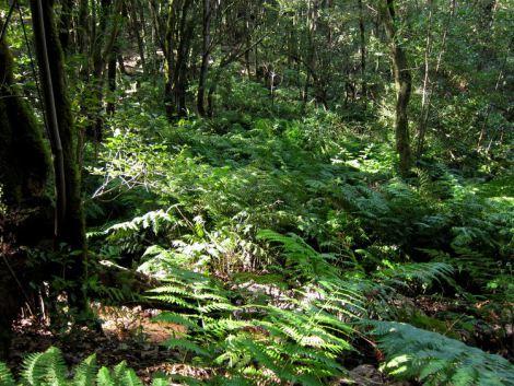 islas-canarias-dia6-