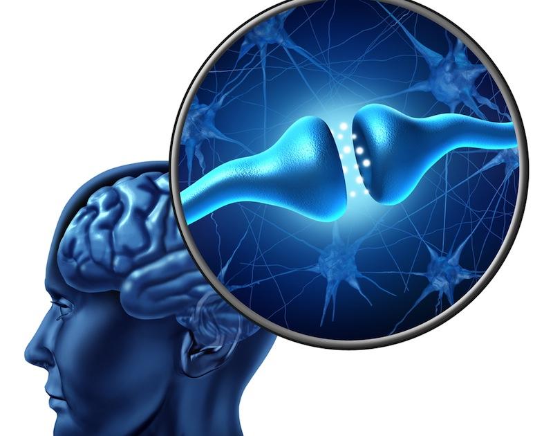 neuronas-espejo-leyatraccion