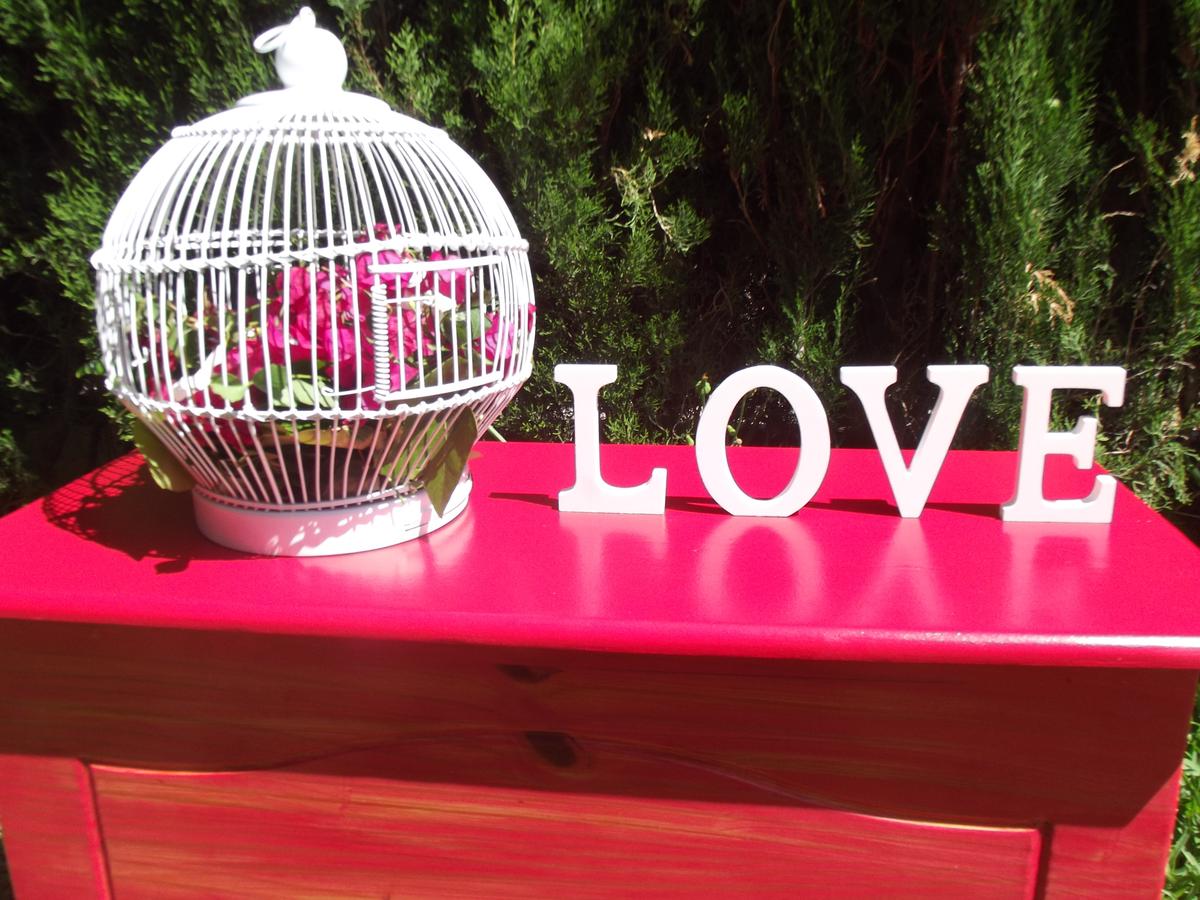 Jaula de pájaro reciclada