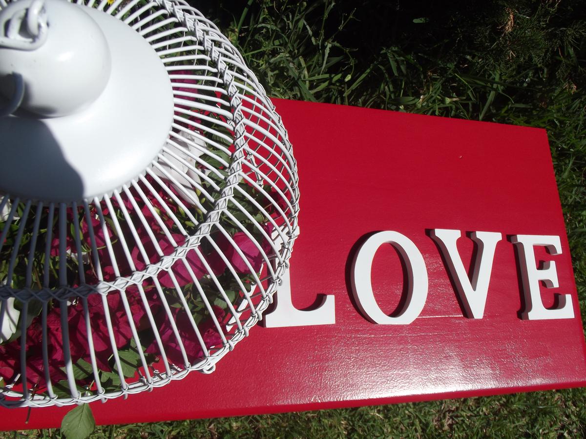 Jaula de pájaro reciclada