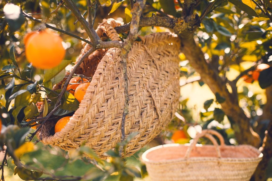 Deco Moments by Fonteyne and Co.032 (Medium)