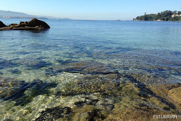 Día Mundial de los Océanos playa del con moaña