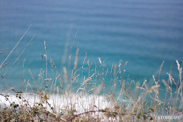 Día Mundial de los Océanos Costa da Vela Cangas