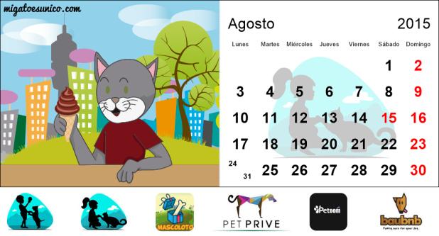 gato agosto