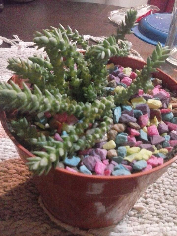 11168125_398842400307642_5439022645462841129_n