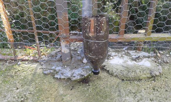 Colocamos la botella