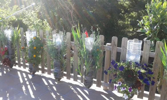 Jardín vertical floresd