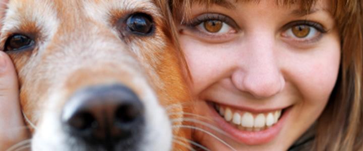  El no eelegir al perro correcto para tu vida, puede hacer que con el tiempo tengas que abandonarlo