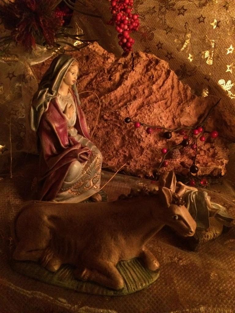 Foto 04-12-14 13 44 14