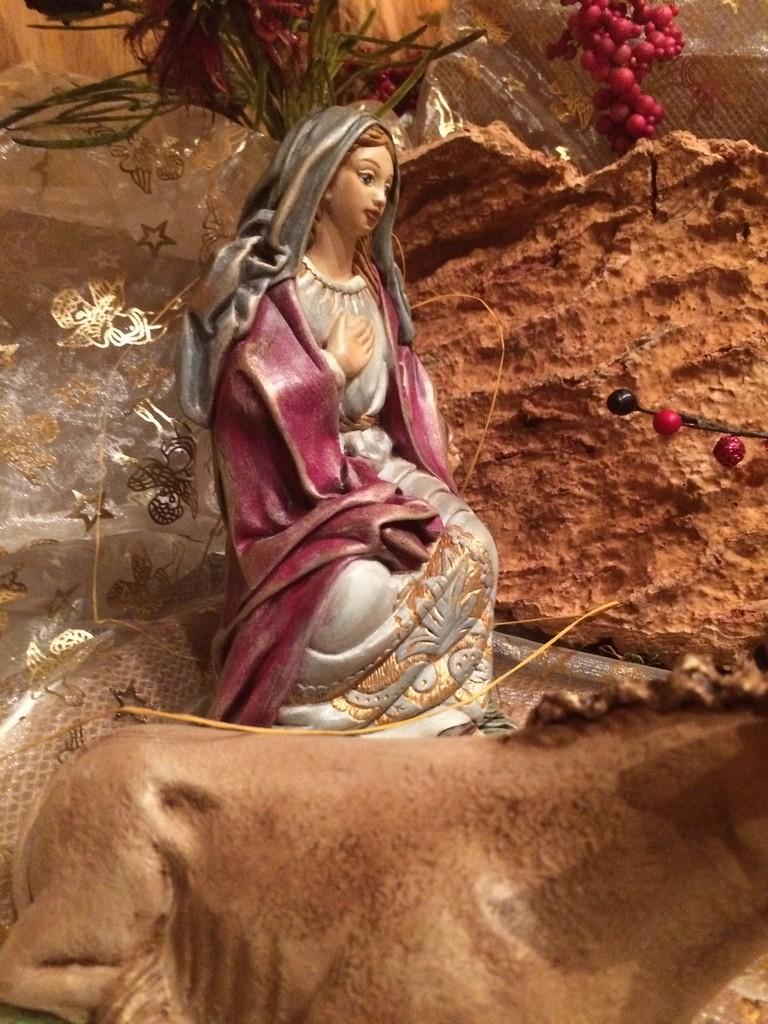 Foto 04-12-14 13 40 36