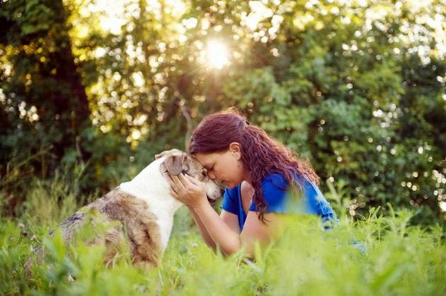  Conocer bien al perro que vas a elegir, te ayudará a saber si encaja en tu vida