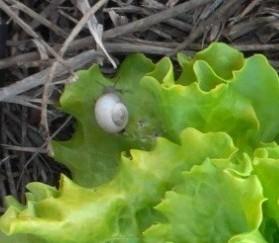 IMG_20130613_210552_web3