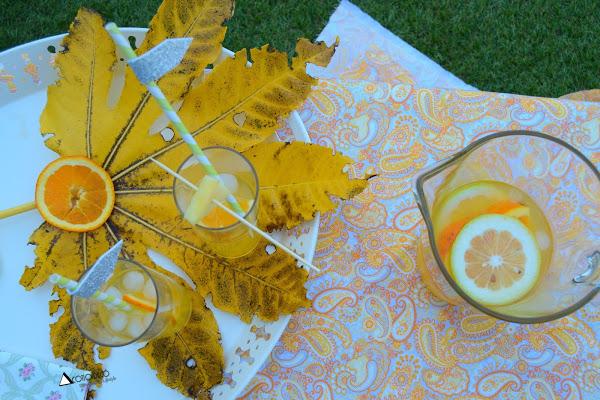 Bebida refrescante con cítricos