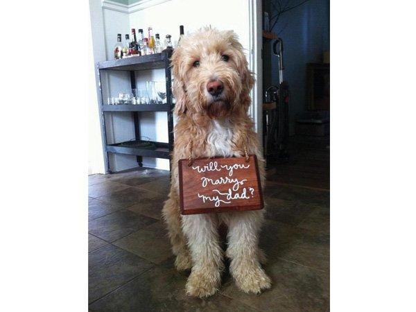 23506_1394668720_5320f4b08e5ee