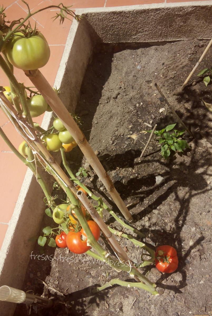 PicsArt_1434884303089