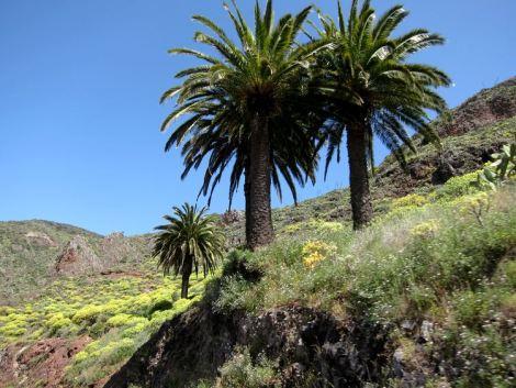 islas-canarias-dia7-