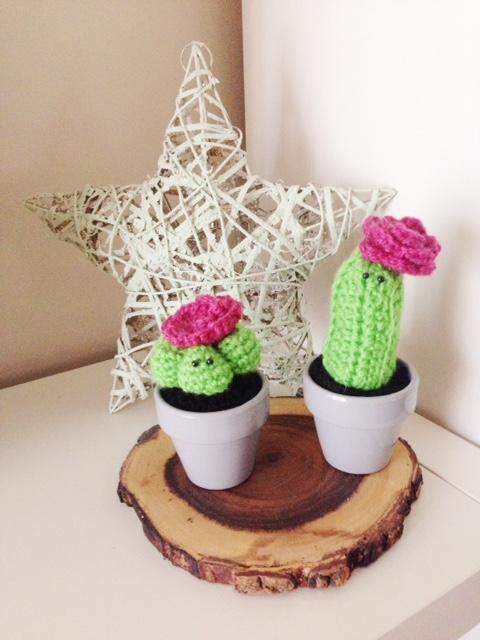 Cactus bemydeco