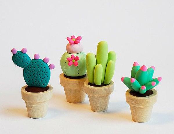 cactus bemydeco