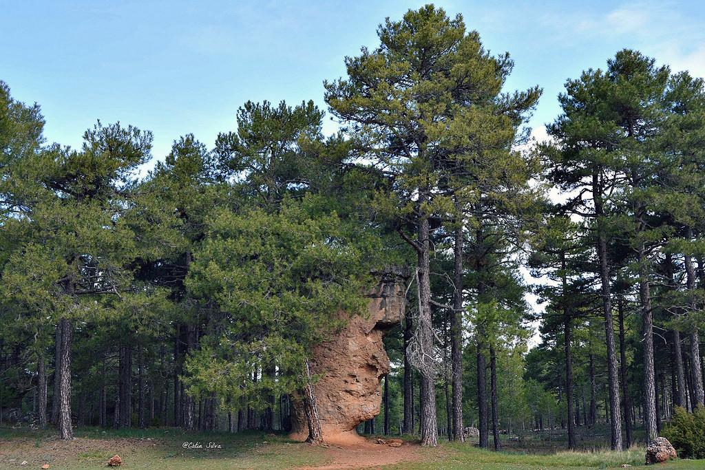 Serranía de Cuenca (3) Ciudad Encantada