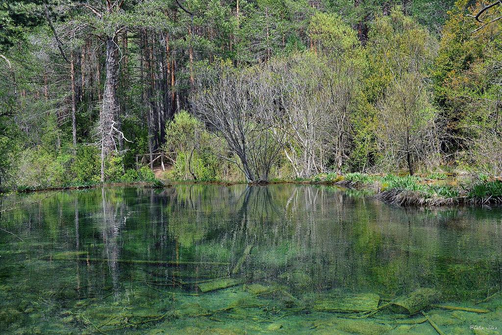 Serranía de Cuenca (18) Nacimiento Rio Cuervo