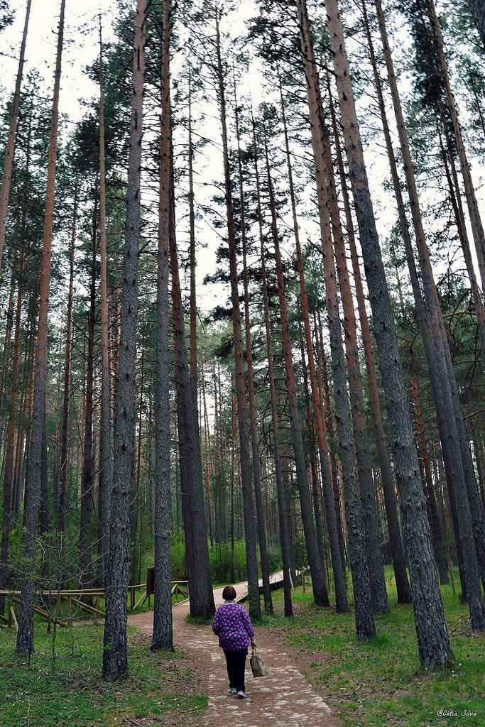 Serranía de Cuenca (19) Nacimiento Rio Cuervo