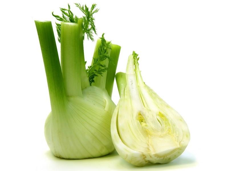 bulbo - hinojo