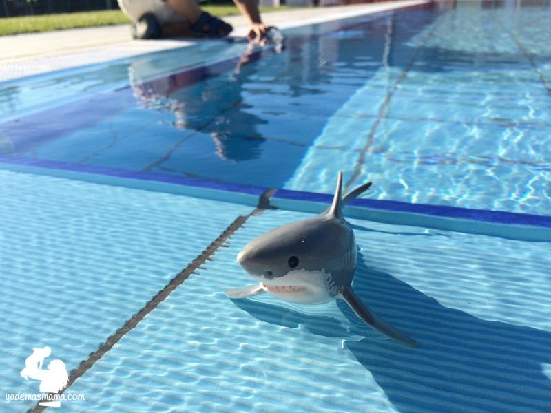 juguete en la piscina