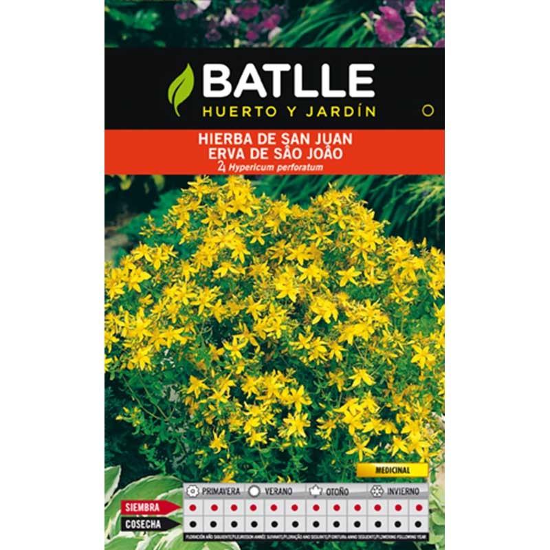 semillas-hierba-de-san-juan