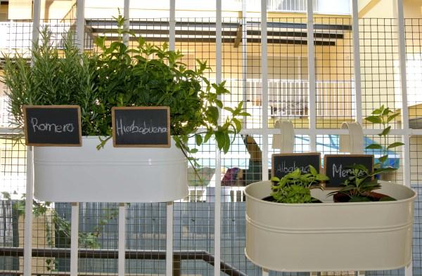 Marcadores para plantas