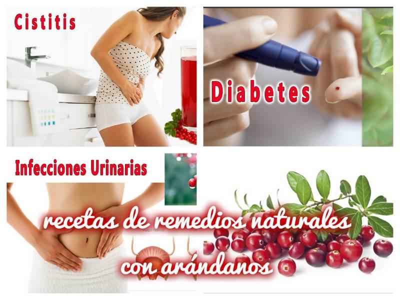 Collage_Arandanos (Copiar)