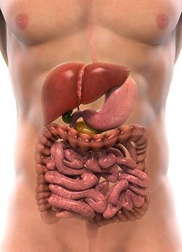 síndrome de intestino permeable