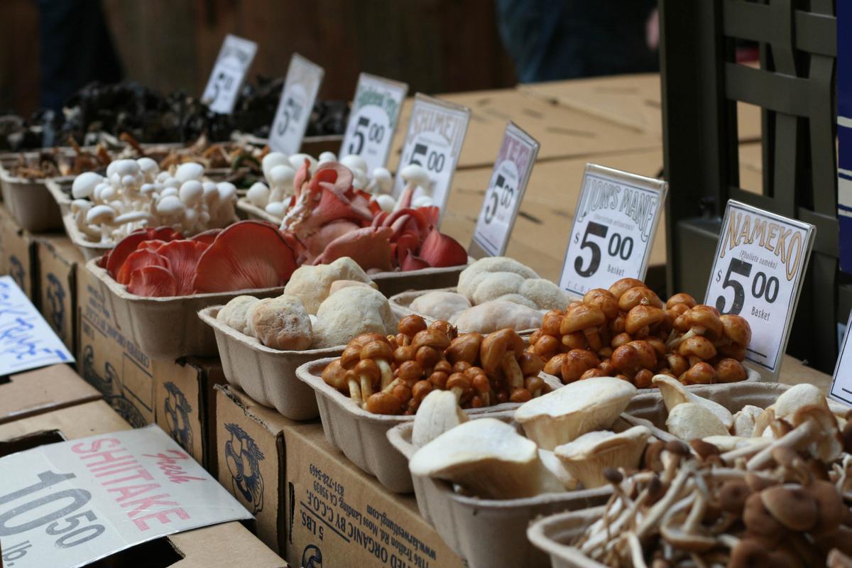 champin?ones y setas jesus_porras_montesinos