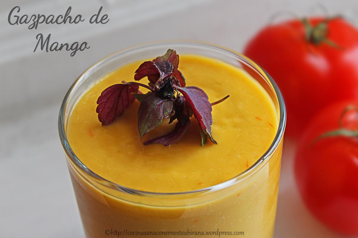 gazpacho de mango